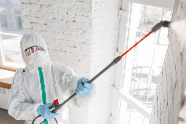Best Emergency Mold Remediation  in Goldsboro, NC